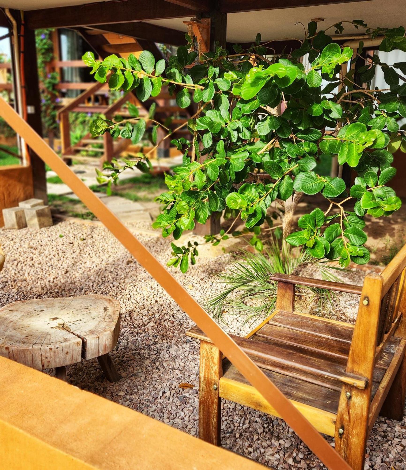 Espaco Canela-de-ema * Alto Paraíso de Goiás